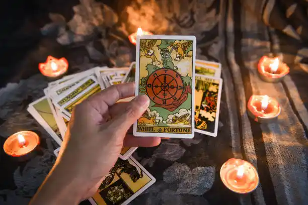 tarot cards Curtice